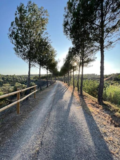 Apto. Rural Cielo. Al Lado Torre Jérica المظهر الخارجي الصورة